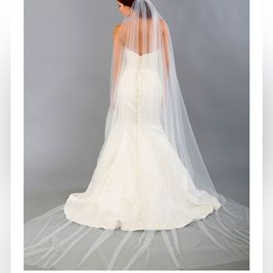Luxe Tulle Cathedral Veil